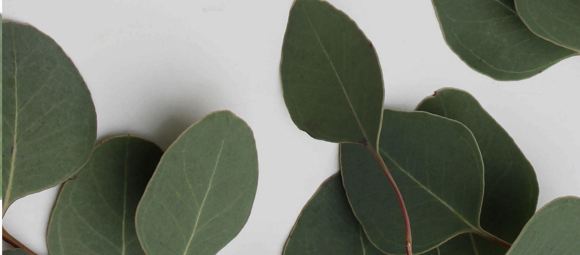 Взыскание ущерба от экологических правонарушений в Кировграде